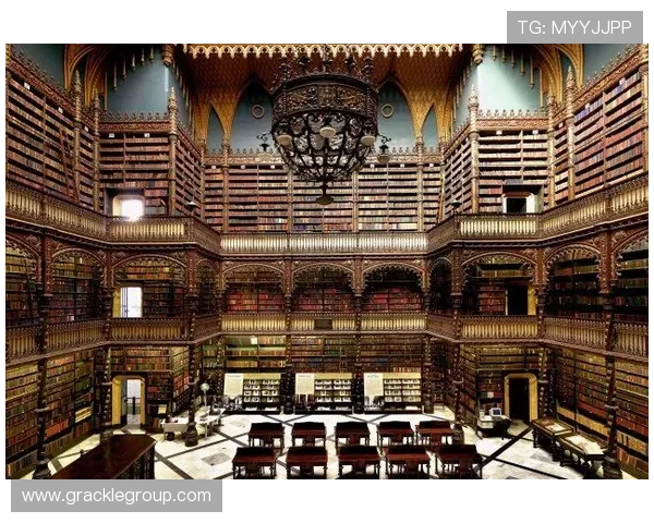 尊龙d88新版官网下载最新版本介绍，功能升级与优化详细解析