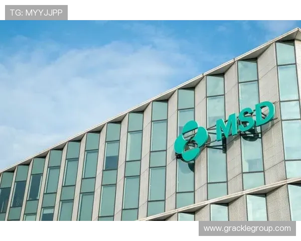 尊龙z6旗舰厅客户端常见问题及解决方案，快速排除使用中的各种困扰