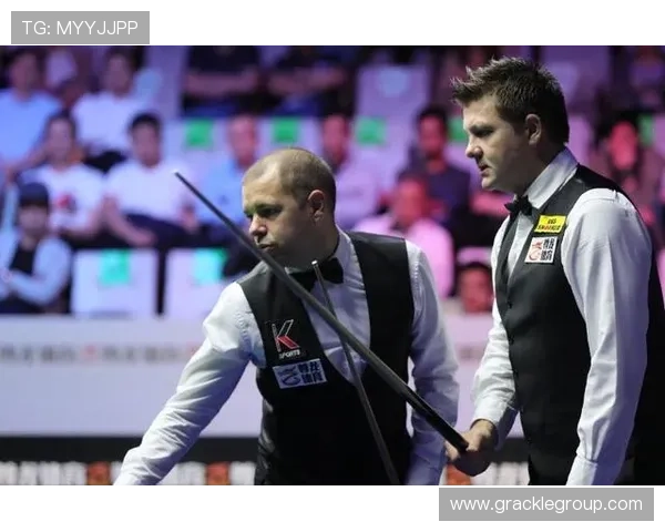 尊龙体育官网多渠道推广策略，提升平台品牌影响力与用户粘性