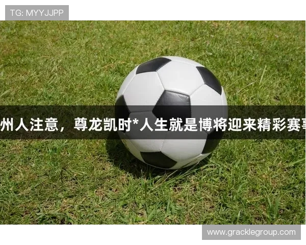 凯时尊龙人生就是博：尊龙平台的技术创新与用户体验优化措施详解